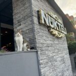 Nükteli Restoran 2024 Fiyat Listesi