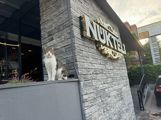 Nükteli Restoran 2024 Fiyat Listesi