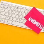 WordPress Uzmanı (7)