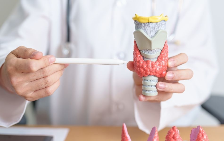 Tiroid ve Meme Sağlığında Biyopsi ve Ultrasonun Rolü