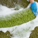 İzmir'de Halı Yıkama Hizmetleri: Çiğli, Mavişehir ve Bostanlı Halı Yıkama (10)