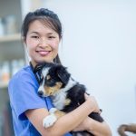 Minik Dostlarınıza Güvenli ve Profesyonel Hizmet İzmir Veteriner (15)